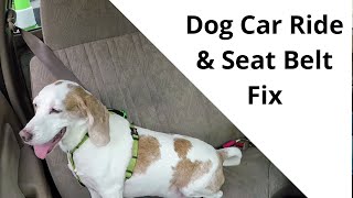 DIY - Dog Seat Belt Hack- Dog Car Ride