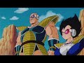 Z Fighters VS Nappa