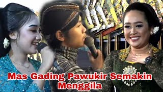 Mas Gading Pawukir Semakin Menggila