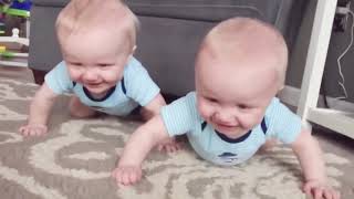 Twins Baby Arguing Together - Funny Baby Video | Cute Baby TV