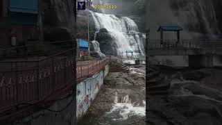 Today waterfalls update குற்றாலத்தில் தற்காலிகமாக குளிக்க தடை3.7.23 #s3 #tamil#waterfall#courtallam