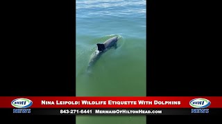 WHHI NEWS | Nina Leipold, Wildlife Etiquette: Dolphins | Maria Sowden On Location! | WHHITV