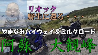 【大観峰】九州ライダーの聖地・阿蘇へツーリング！【後編】