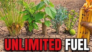 5 Trees That Produce Free Fuel Forever. Grow In Any Yard. Why The Energy Industry Buried This.