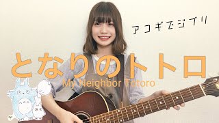 【アコギでジブリ】となりのトトロ/久石譲・宮崎駿・井上あずみ