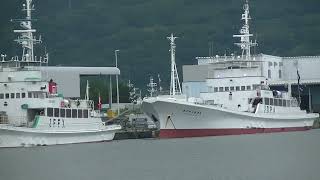 7月8日　新港の3隻の大型漁船(Three large fishing boats in the new port)