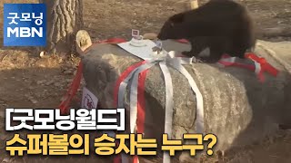 [굿모닝월드] 슈퍼볼의 승자는 누구?[굿모닝MBN]