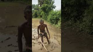 ଧାନ ଚାଷ ଆରମ୍ଭ ହେଇଗଲା #rice #farming #odisha #odiavlog #youtubeshorts #shorts #trending #viral