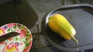 Papaya milk shake/പപ്പായ മില്‍ക് ഷേക്ക്/papaya shake recipe....