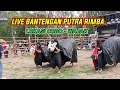 Live BANTENGAN PUTRA RIMBA ‼️ LO KASI CODO - WAJAK❗