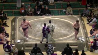 里山(satoyama)-天風(amakaze)/day4/大相撲.2017.1.11(36) #sumo