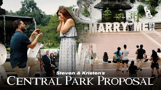 Central Park Proposal | NYC