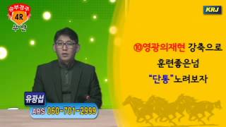 20121125유광섭부경