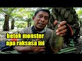 KEMUNGKINAN 1/2 Kg BETOK MONSTER INI || Mancing betok monster