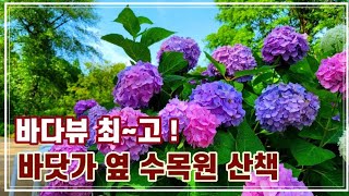 태안 천리포수목원 수국을 비롯한 다양한 꽃과 바다뷰가 최고입니다4K the Cheonripo Arboretum