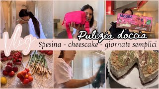 VLOG || spesina 🍋|| cheescake senza gelatina 🍰 ||  regali 🎁 || giornate semplici