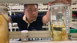 市場魚博士 讓世界看見台灣 單元3｜守護生態多樣性｜華視新聞雜誌 EP2232｜2020.07.24