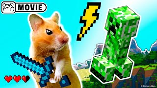 Hamster survival in Minecraft Ep.1 😱 Hamster vs Creeper and Zombie 😱 Homura Ham