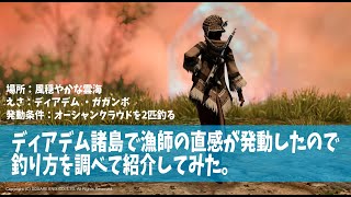 ディアデム諸島の漁師の直感条件と釣り方