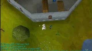 level 1 clue scroll - Alderbash