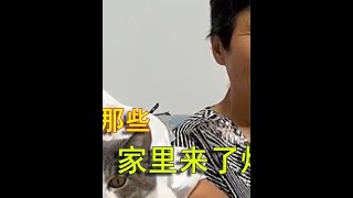 盘点“当家里来了烦人亲戚”，狗拿耗子多管闲事，你在教我做事？ #亲戚