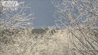 北海道で－20.5℃を観測　東京は10日連続乾燥注意報(2024年12月16日)