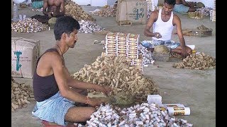 Beedi workers very first packaging without machine in Beedi factory