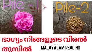 Pilereading malayalam Luck at your fingertips നിങ്ങളുടെ ഭാഗ്യം നിങ്ങളുടെ വിരൽ തുമ്പിൽ തന്നെയാണ്