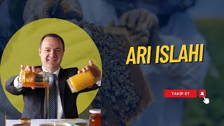 ARI ISLAHI | KÖYDE ARICILIK