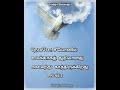 இன்றைய ஆசீர்வாதம் உங்களுக்காக தமிழ் பைபிள் வசனம் today s blessings 19 1 2022