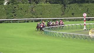 2019 京王杯スプリングカップ タワーオブロンドンTHE KEIO CUP SPRING CUP Tower of London