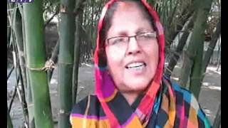 Gaibandha bamboo_Ekushey Television Ltd. 25.01.16