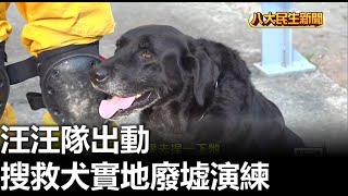 汪汪隊出動 搜救犬實地廢墟演練 |【民生八方事】| 2023031909 @gtvnews27