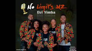 No Limits Mz - Ndzi yimba (teaser)