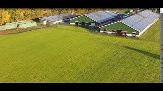 Dairy Farm  in Northern Germany with 650 cows and Bedding Master by Mavasol