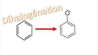 Dihalogénation du Benzène