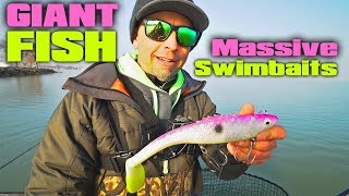 MASSIVE Swimbaits for GIANT Fish - Biggest Fish of the YEAR!!