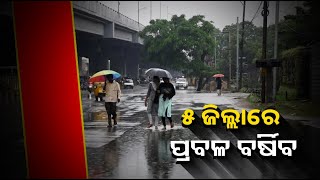 ୨୩ରୁ ପୁଣି ବଢିବ ବର୍ଷାର ପରିମାଣ || Knews Odisha