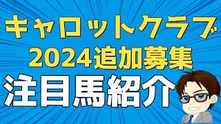 【募集馬検討】キャロットクラブ2024年追加募集の注目馬2頭を紹介!!