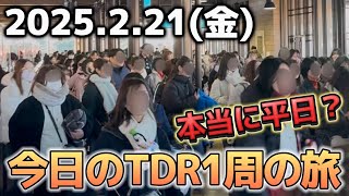 【速報】平日関係なしの大混雑⁉️今日のディズニーリゾート一周の旅【2025.2.21】