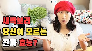 새싹보리 당신이 모르는 진짜 효능