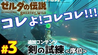 イワロックをシバくならやっぱコレ!!!追加コンテンツ『剣の試練＜序位＞』【ゼルダの伝説 ブレスオブザワイルド】#03