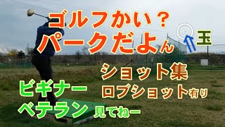 【1５万再生突破！】誠に有り難うございてます　パークゴルフの基本ショット～ べた足、体の回転無し、ロブショット　ライナー網越え？　スロー再生・有ります　｢グリップをギュッと強めに握るです｣　▶チャプタ