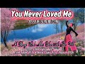 DEMO | You Never Loved Me 你从来没有爱过我 |LINE DANCE | Erni Jasin (INA) & Heru Tian (INA) - March 2026