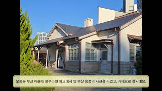 오늘은 2박 3일 대구대학교 K-PACE센터 부산, 영천여행 브이로그-18