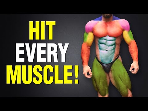 What workout uses the most muscles?