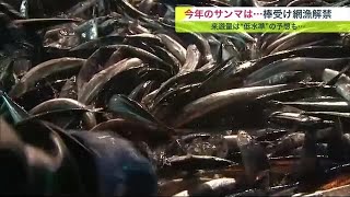 今シーズンの水揚げ\