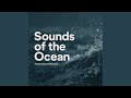 Slow Waves in the Shallows