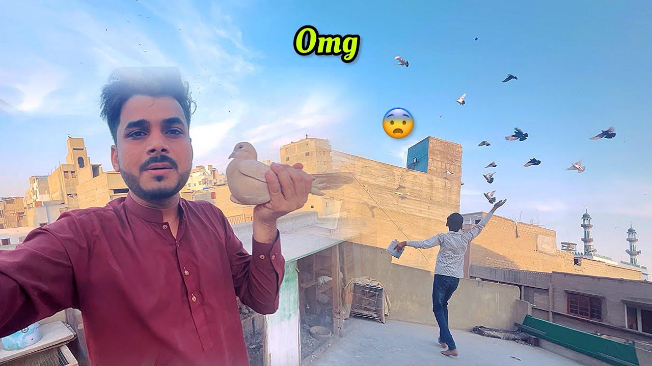 Do Kabutar Pakad Liye рџ ї Youtube