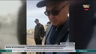 Каспий жағалауынан итбалықтың 94 өлексесі табылды